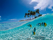 Туры на Кубу. ICS Travel Group приглашает на Кубу!